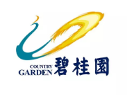 泰顺碧桂园地产